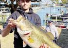 IGFA creates separate divisions in world record bass categories