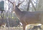 Early fall is a busy time for deer hunters, with archery and MLD seasons under way